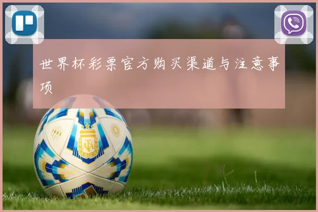 世界杯彩票官方购买渠道与注意事项