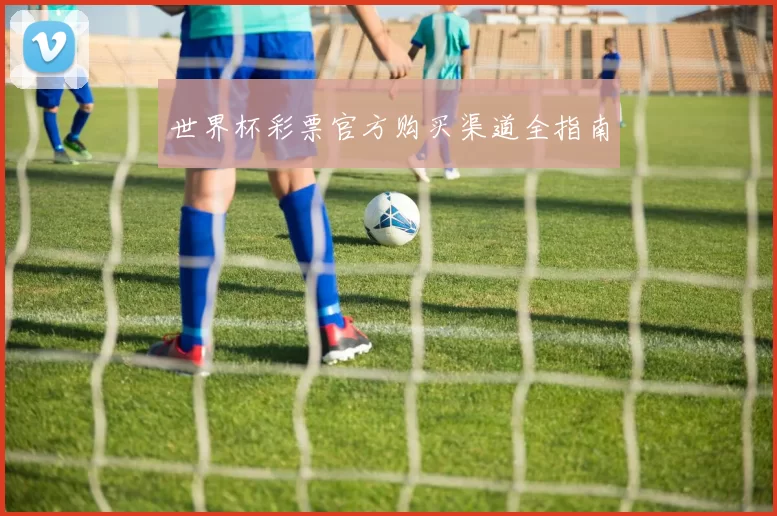 世界杯彩票官方购买渠道全指南