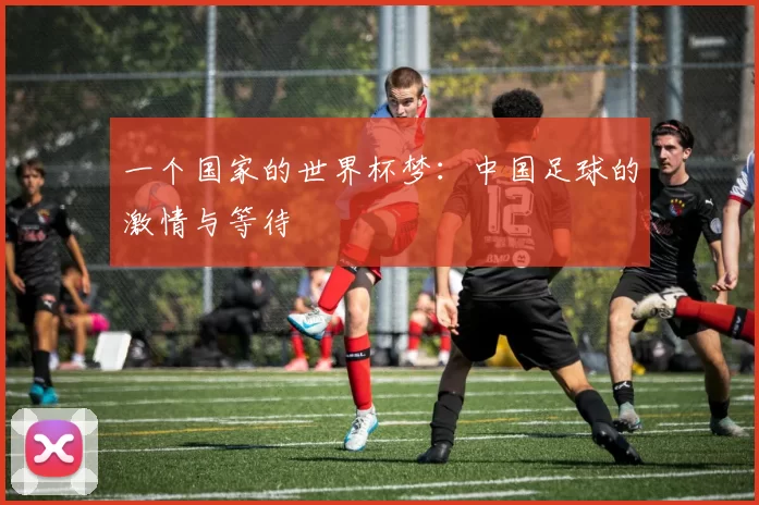 一个国家的世界杯梦：中国足球的激情与等待