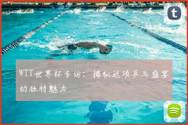 WTT世界杯专访：揭秘这项乒乓盛宴的独特魅力