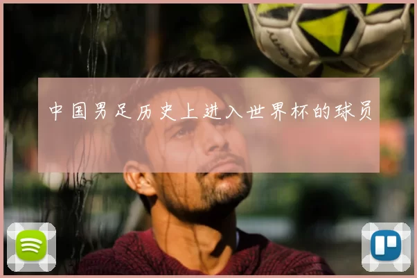 中国男足历史上进入世界杯的球员