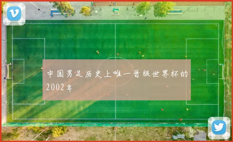中国男足历史上唯一晋级世界杯的2002年