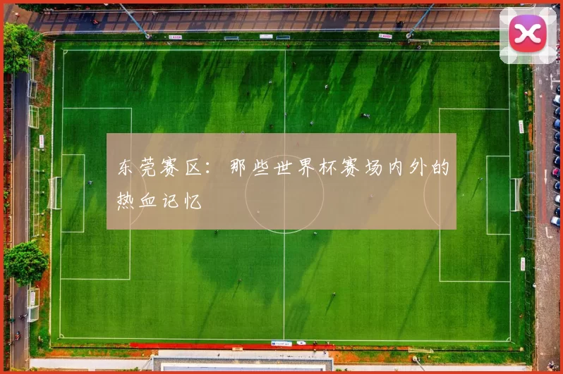 东莞赛区：那些世界杯赛场内外的热血记忆