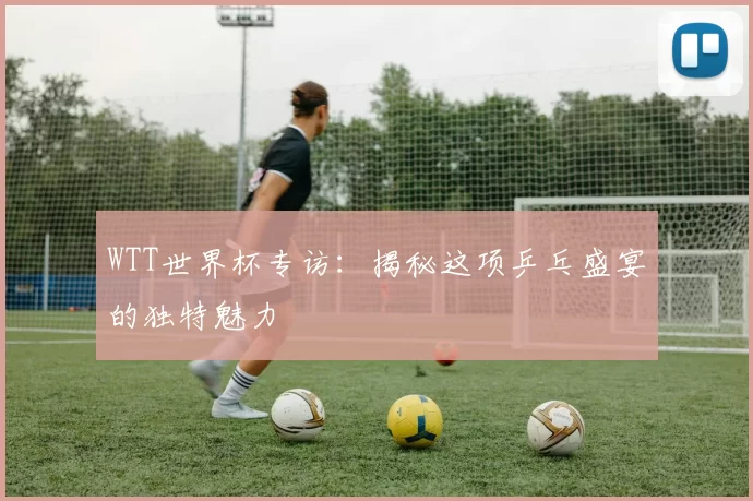 WTT世界杯专访:揭秘这项乒乓盛宴的独特魅力