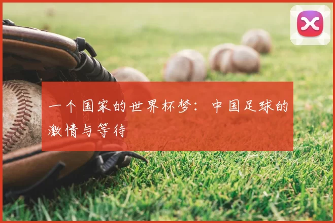 一个国家的世界杯梦：中国足球的激情与等待