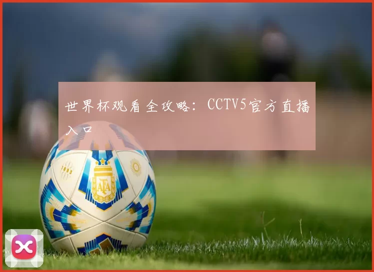 世界杯观看全攻略：CCTV5官方直播入口