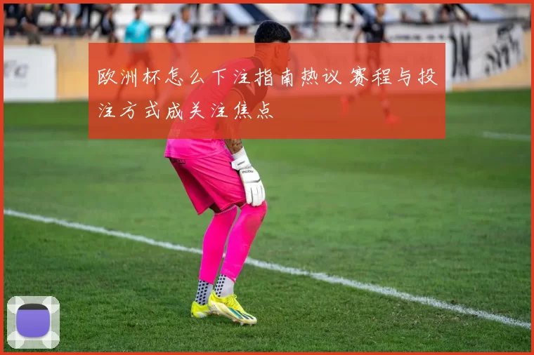 欧洲杯怎么下注指南热议 赛程与投注方式成关注焦点