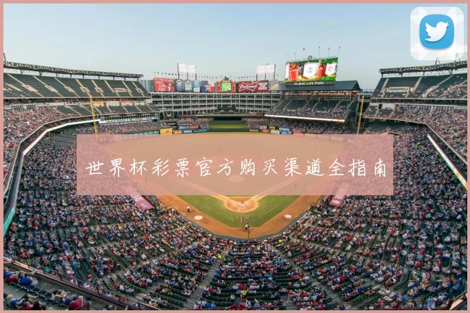世界杯彩票官方购买渠道全指南