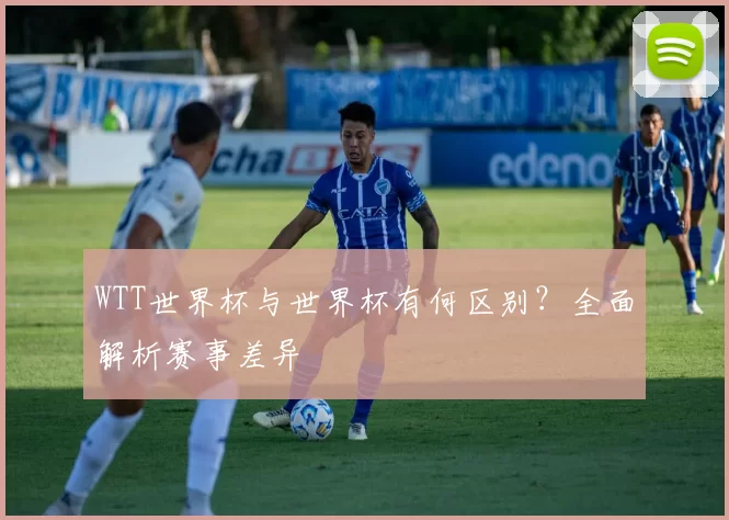 WTT世界杯与世界杯有何区别？全面解析赛事差异