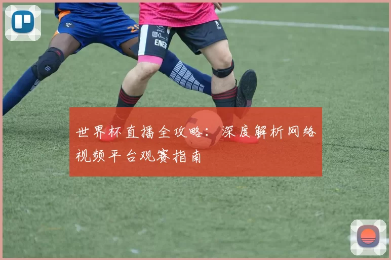 世界杯直播全攻略：深度解析网络视频平台观赛指南